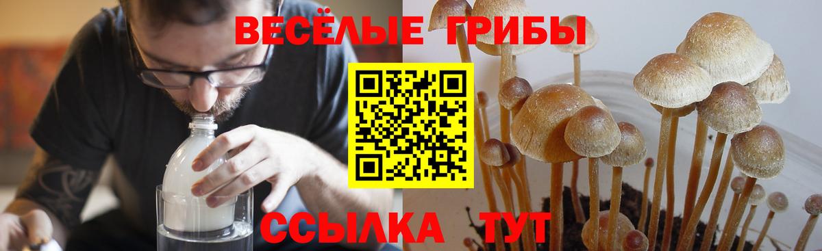 Псилоцибиновые грибы ЛСД  Вход с VPN  Тольятти  Галлюциногенные грибы мухоморы 